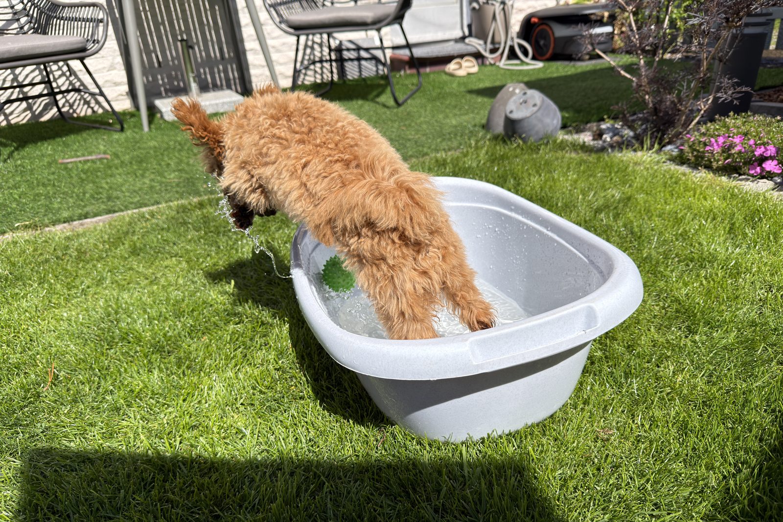 Sunny am Pool