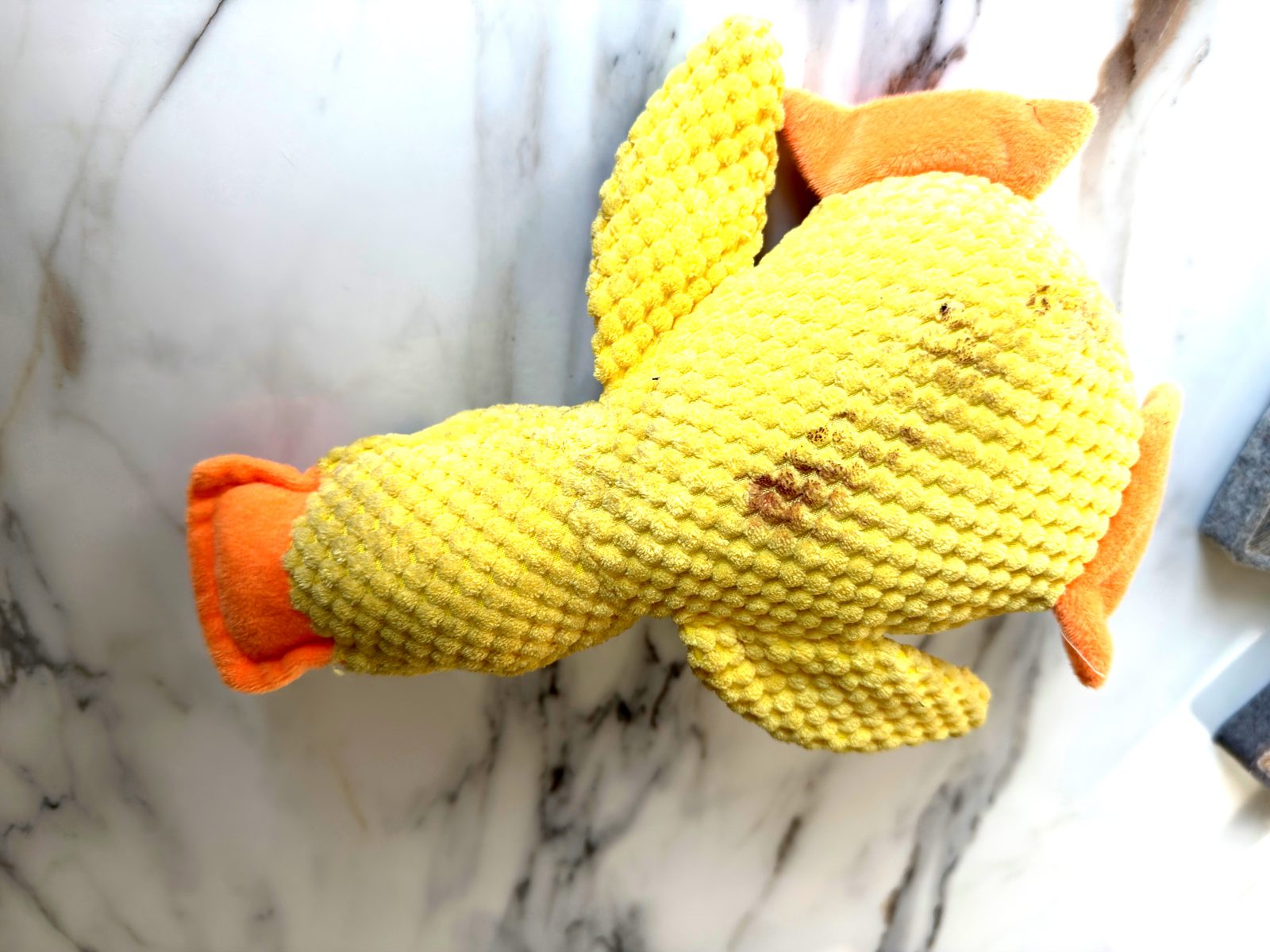 Sunny mit Kuschelente
