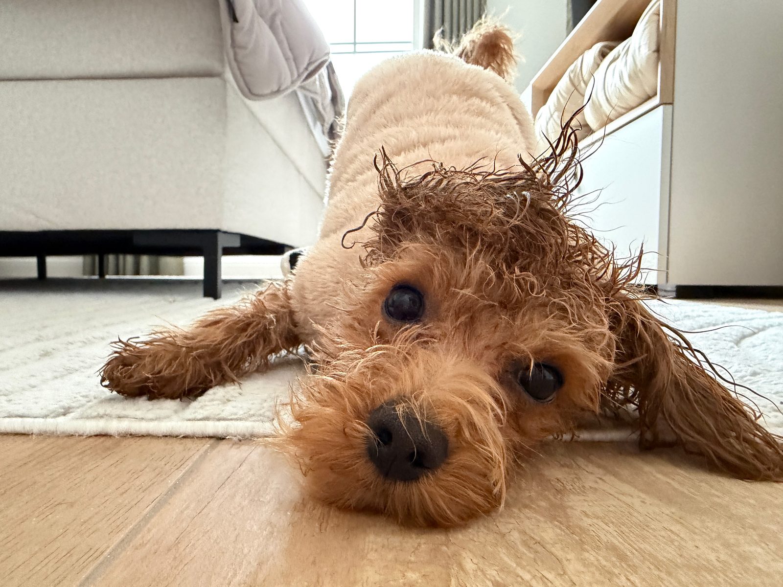 Sunny im Bademantel