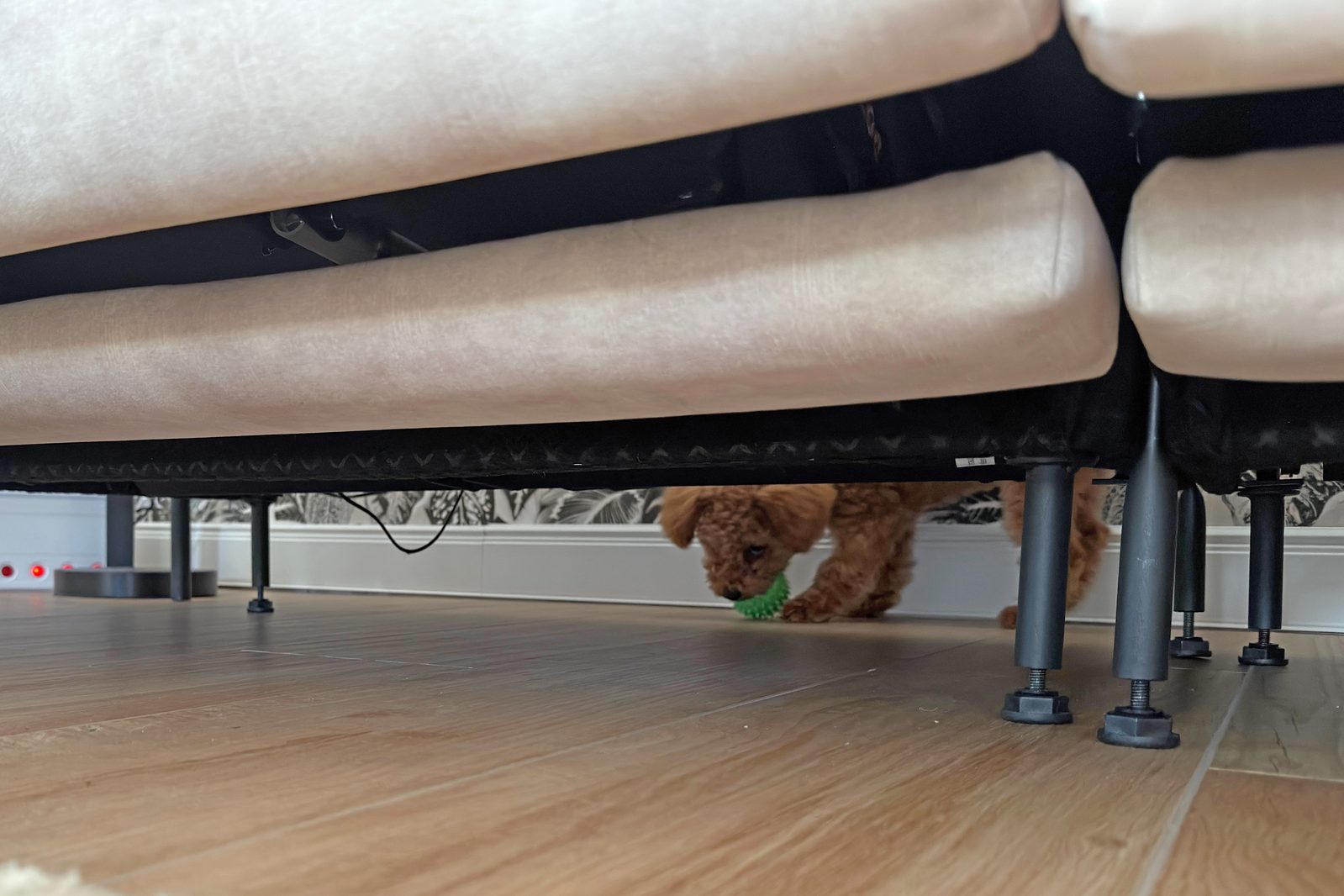 Sunny mit dem Ball