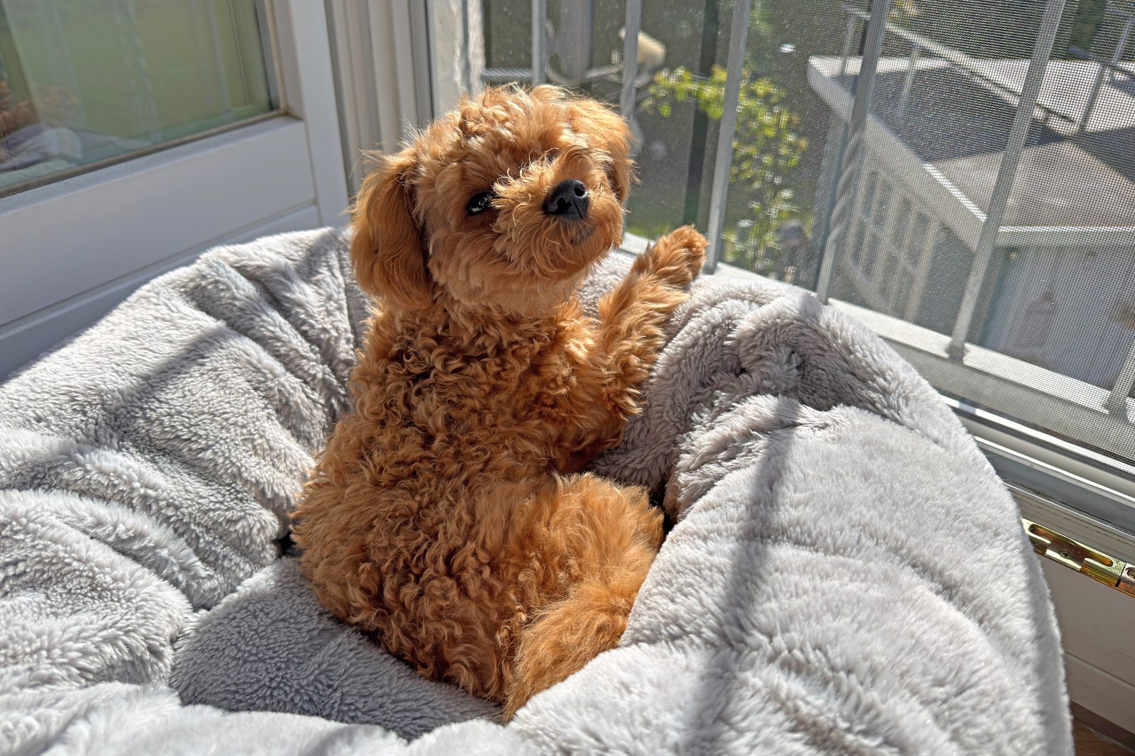 Sunny im Sonnenbad