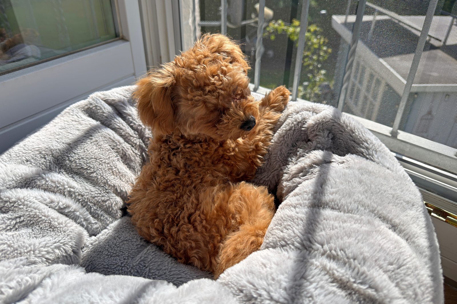 Sunny im Sonnenbad